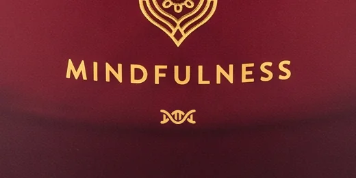 Close-up: the correct helix mark under MINDFULNESS